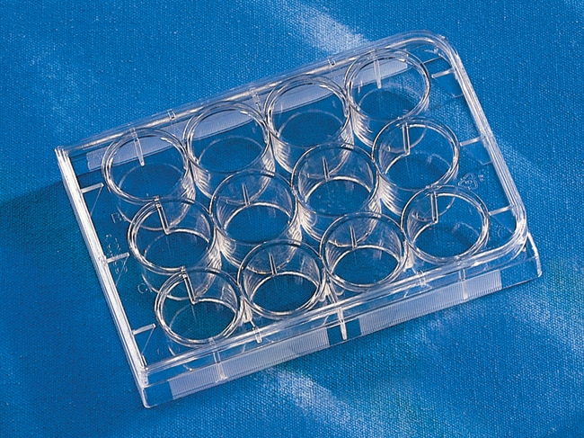 Corning Costar Zellkulturplatten mit fla